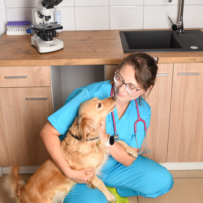 Vet Derm