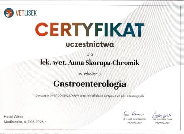 Certyfikat uczestnictwa - szkolenie Gastroenterologia