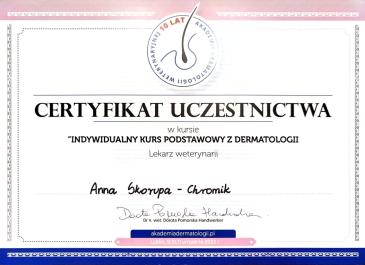 Indywidualny kurs z deroamtologii
