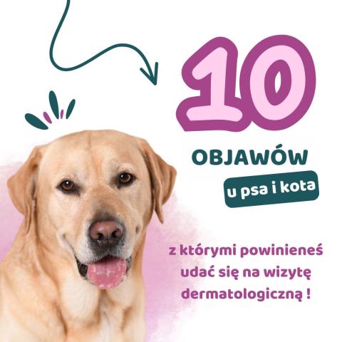 10 objawów, które sugerują, że powinieneś umówić swojego Pupila do lekarza weterynarii zajmującego się schorzeniami dermatologicznymi.